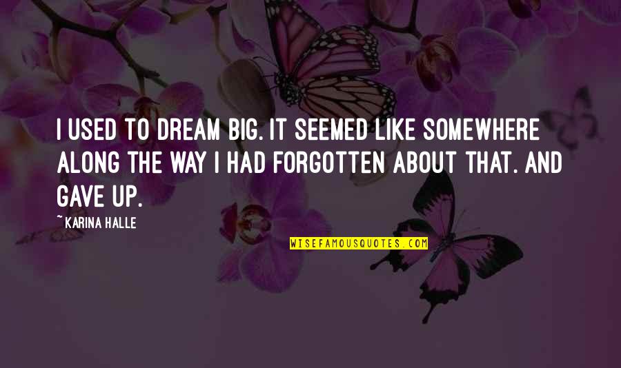 El Sordo Quotes By Karina Halle: I used to dream big. It seemed like
