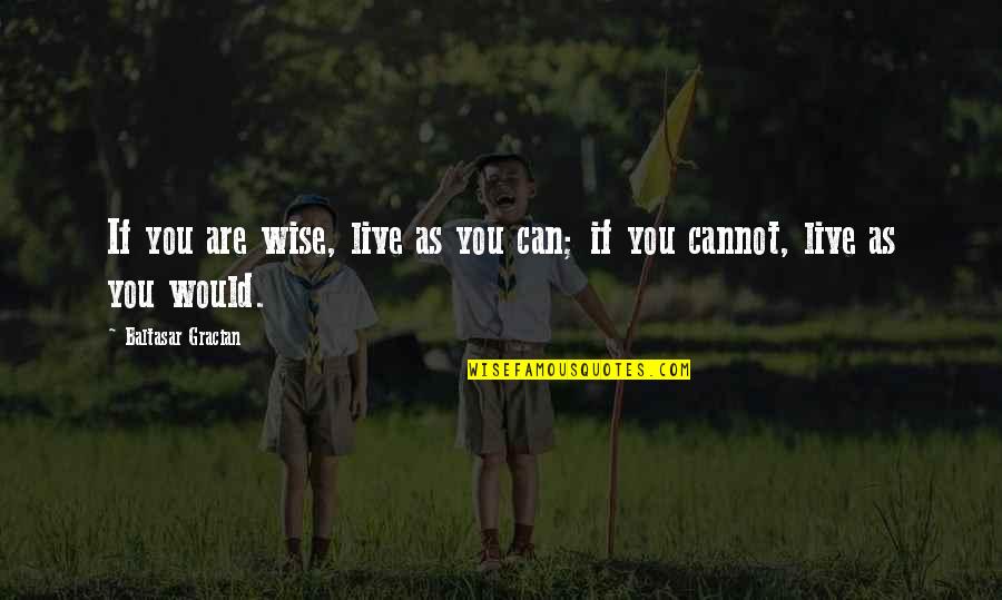 El Tunel Sabato Quotes By Baltasar Gracian: If you are wise, live as you can;