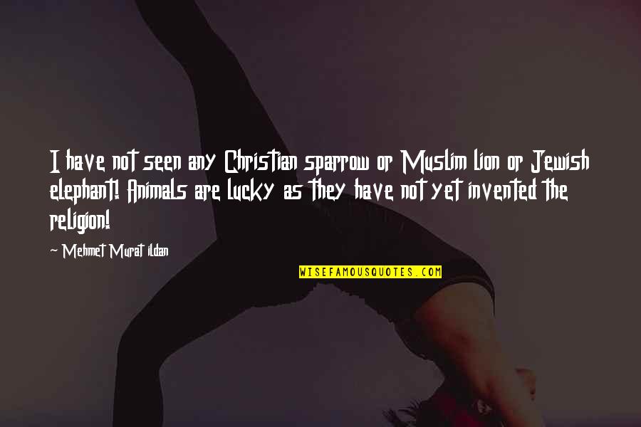 Elaboramos Pulseras Quotes By Mehmet Murat Ildan: I have not seen any Christian sparrow or Elaboramos Pulseras Quotes By Mehmet Murat Ildan: I have not seen any Christian sparrow or