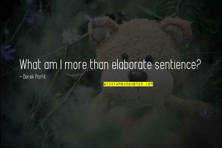 Elaborate Quotes By Derek Parfit: What am I more than elaborate sentience? Elaborate Quotes By Derek Parfit: What am I more than elaborate sentience?