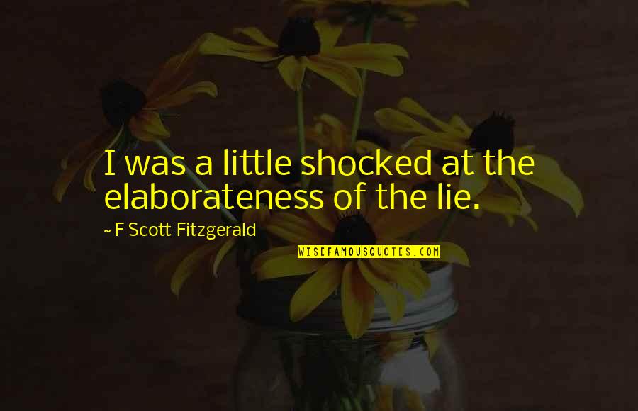 Elaborateness Quotes By F Scott Fitzgerald: I was a little shocked at the elaborateness Elaborateness Quotes By F Scott Fitzgerald: I was a little shocked at the elaborateness
