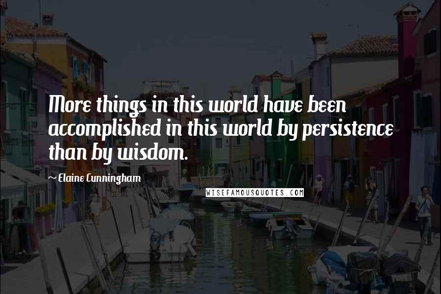 Elaine Cunningham quotes: More things in this world have been accomplished in this world by persistence than by wisdom.