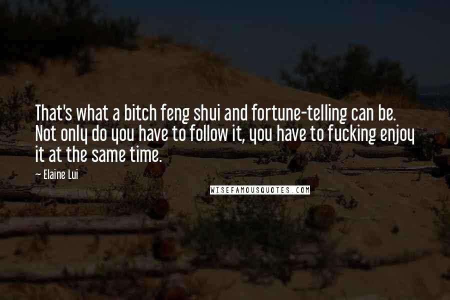 Elaine Lui quotes: That's what a bitch feng shui and fortune-telling can be. Not only do you have to follow it, you have to fucking enjoy it at the same time.