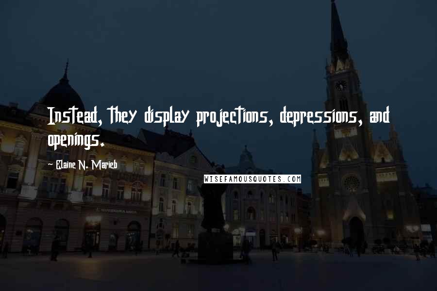 Elaine N. Marieb quotes: Instead, they display projections, depressions, and openings.