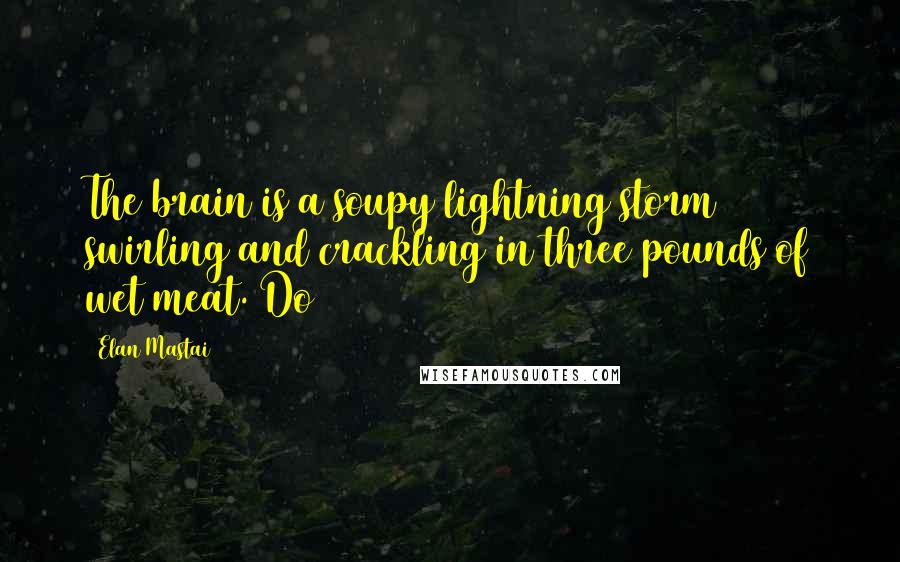 Elan Mastai quotes: The brain is a soupy lightning storm swirling and crackling in three pounds of wet meat. Do