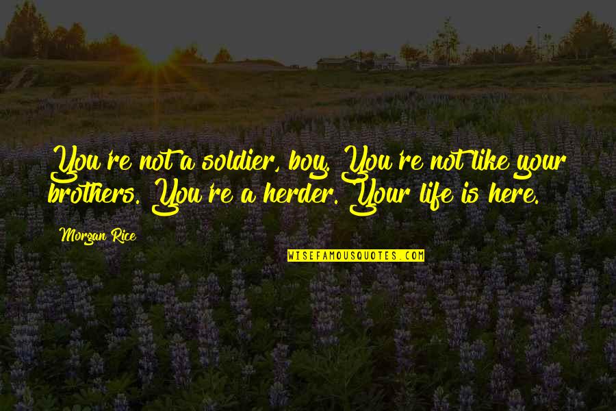Elaters Quotes By Morgan Rice: You're not a soldier, boy. You're not like Elaters Quotes By Morgan Rice: You're not a soldier, boy. You're not like