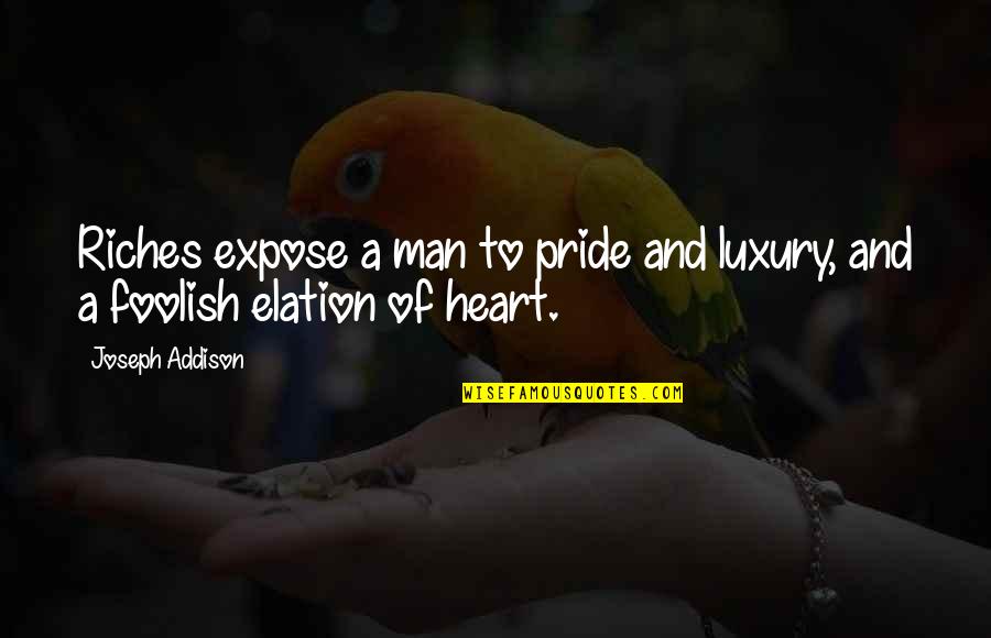 Elation Quotes By Joseph Addison: Riches expose a man to pride and luxury,