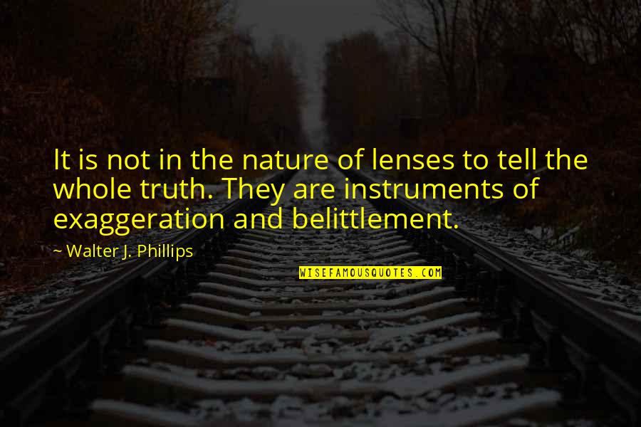 Elattaria Quotes By Walter J. Phillips: It is not in the nature of lenses