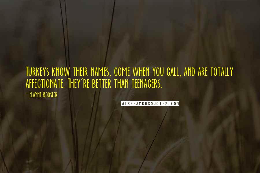 Elayne Boosler quotes: Turkeys know their names, come when you call, and are totally affectionate. They're better than teenagers. Elayne Boosler quotes: Turkeys know their names, come when you call, and are totally affectionate. They're better than teenagers.