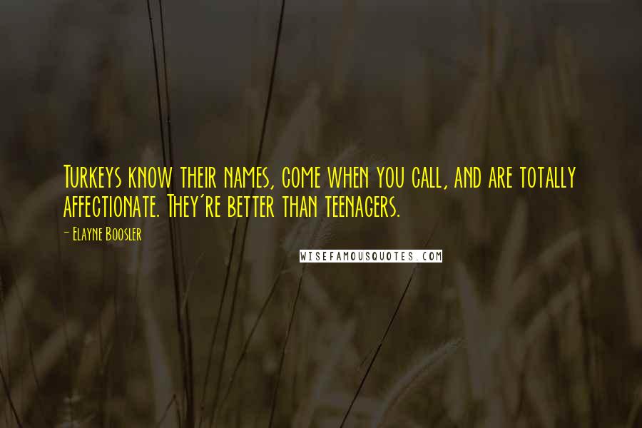 Elayne Boosler quotes: Turkeys know their names, come when you call, and are totally affectionate. They're better than teenagers.
