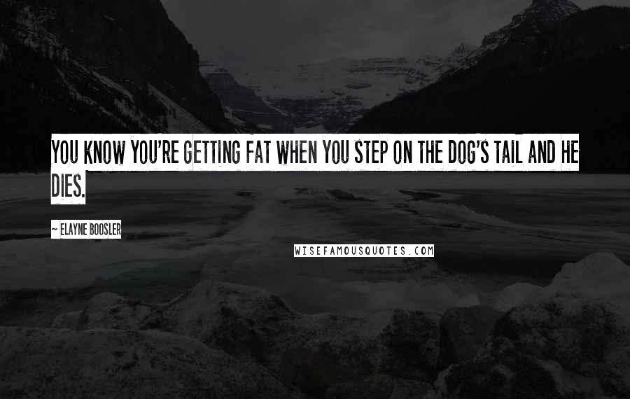 Elayne Boosler quotes: You know you're getting fat when you step on the dog's tail and he dies.