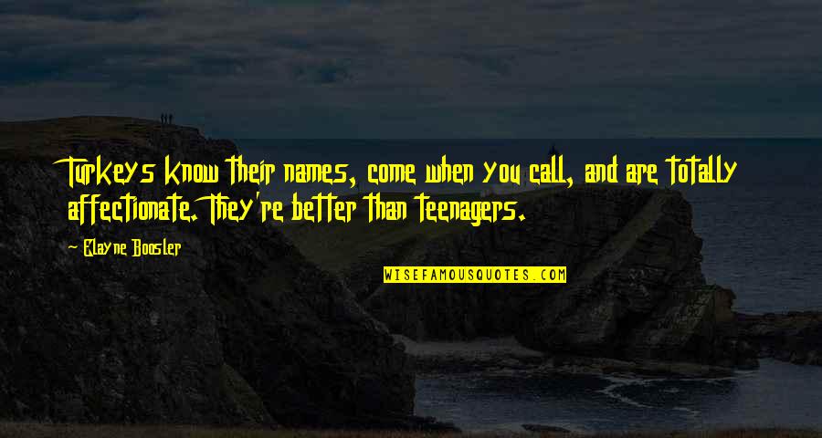 Elayne Quotes By Elayne Boosler: Turkeys know their names, come when you call, Elayne Quotes By Elayne Boosler: Turkeys know their names, come when you call,