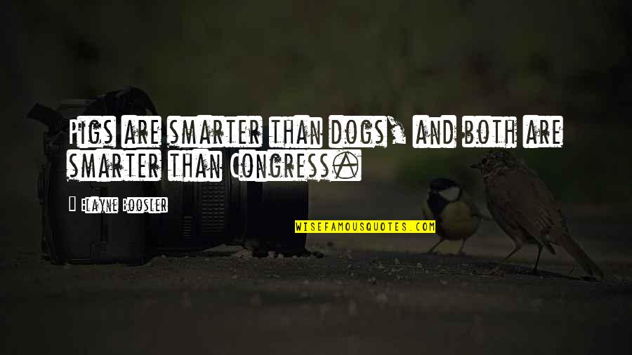 Elayne Quotes By Elayne Boosler: Pigs are smarter than dogs, and both are