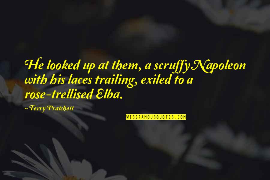 Elba Quotes By Terry Pratchett: He looked up at them, a scruffy Napoleon Elba Quotes By Terry Pratchett: He looked up at them, a scruffy Napoleon