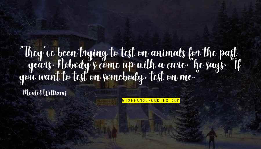 Elbise Modelleri Quotes By Montel Williams: "They've been trying to test on animals for Elbise Modelleri Quotes By Montel Williams: "They've been trying to test on animals for