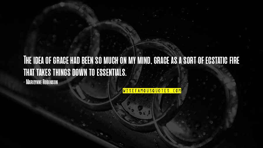 Elcano Vs Hill Quotes By Marilynne Robinson: The idea of grace had been so much