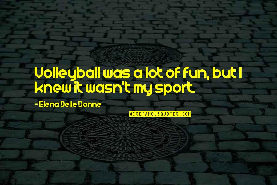Elderly Health Quotes By Elena Delle Donne: Volleyball was a lot of fun, but I