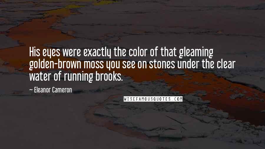 Eleanor Cameron quotes: His eyes were exactly the color of that gleaming golden-brown moss you see on stones under the clear water of running brooks.