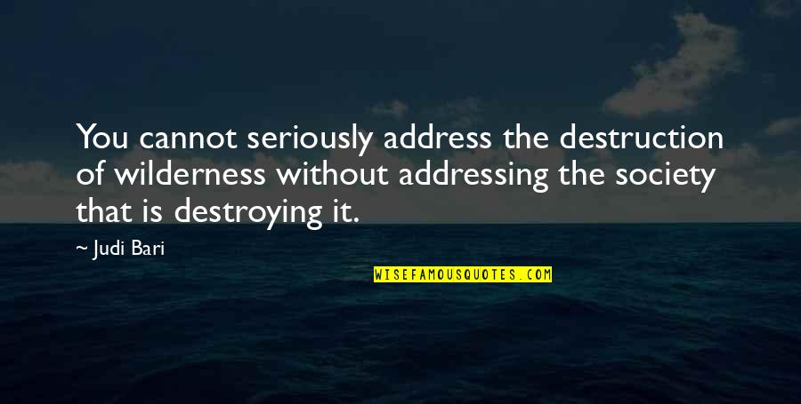 Elebi Quotes By Judi Bari: You cannot seriously address the destruction of wilderness Elebi Quotes By Judi Bari: You cannot seriously address the destruction of wilderness