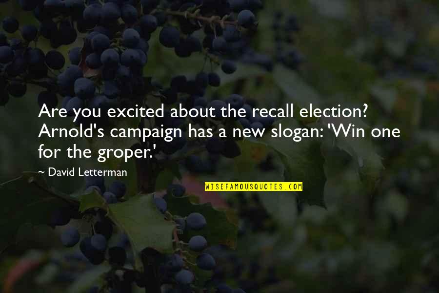 Election Win Quotes By David Letterman: Are you excited about the recall election? Arnold's