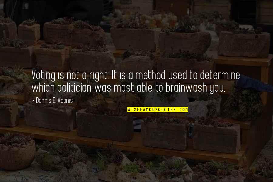 Elections Politics Quotes By Dennis E. Adonis: Voting is not a right. It is a