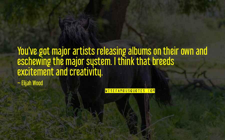 Electrical Love Quotes By Elijah Wood: You've got major artists releasing albums on their