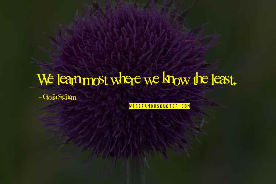 Electrocuted Quotes By Gloria Steinem: We learn most where we know the least.