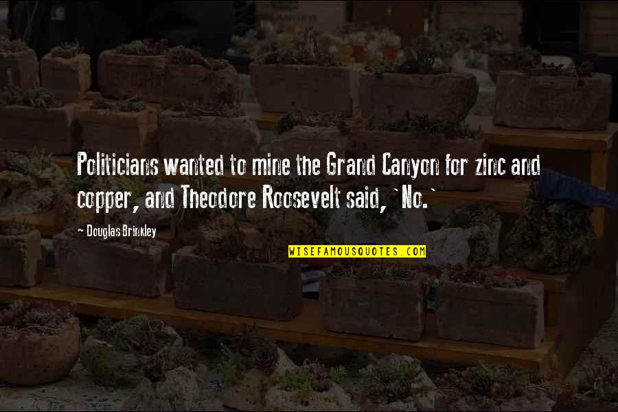 Electrodermal Screening Quotes By Douglas Brinkley: Politicians wanted to mine the Grand Canyon for Electrodermal Screening Quotes By Douglas Brinkley: Politicians wanted to mine the Grand Canyon for