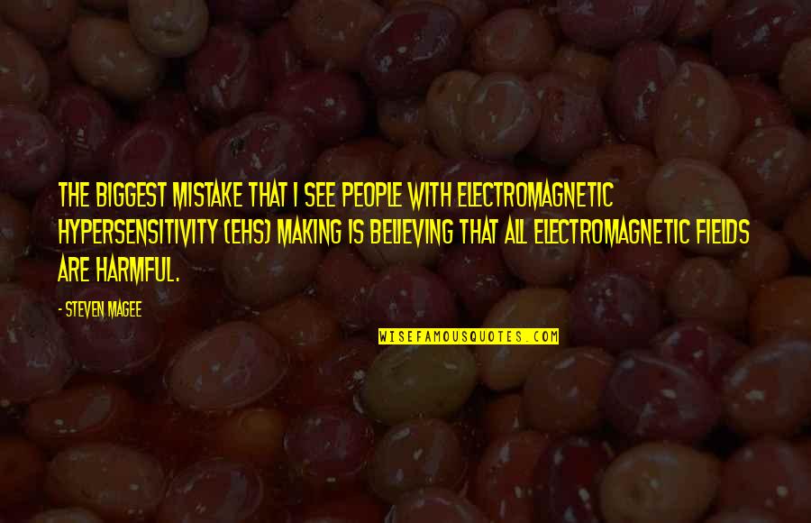 Electromagnetic Quotes By Steven Magee: The biggest mistake that I see people with