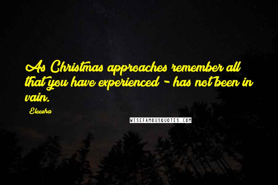 Eleesha quotes: As Christmas approaches remember all that you have experienced - has not been in vain.