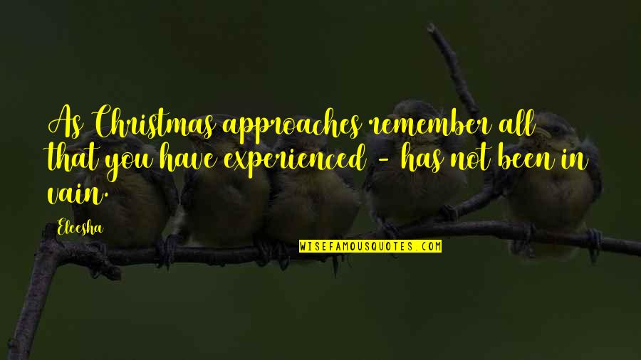 Eleesha Quotes By Eleesha: As Christmas approaches remember all that you have