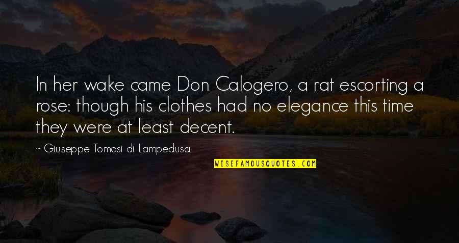 Elegance In Quotes By Giuseppe Tomasi Di Lampedusa: In her wake came Don Calogero, a rat