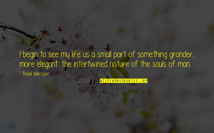 Elegant Man Quotes By Raoul Wientzen: I begin to see my life as a