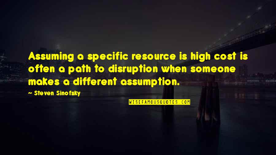 Elegant Man Quotes By Steven Sinofsky: Assuming a specific resource is high cost is