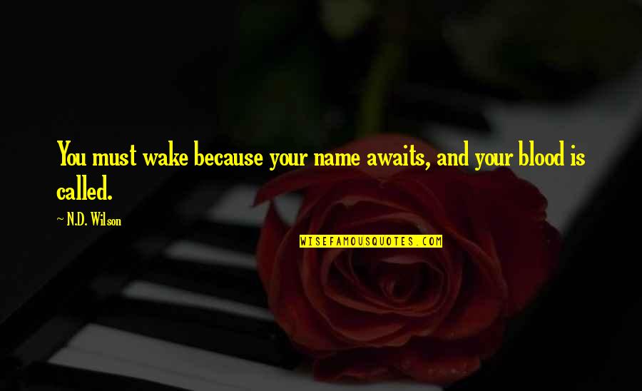 Elegist Quotes By N.D. Wilson: You must wake because your name awaits, and