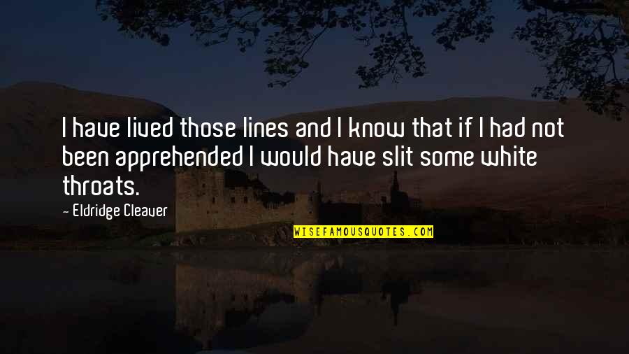 Elektrische Auto Quotes By Eldridge Cleaver: I have lived those lines and I know