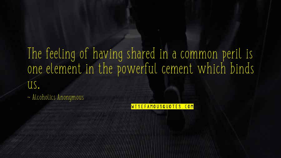 Element Quotes By Alcoholics Anonymous: The feeling of having shared in a common
