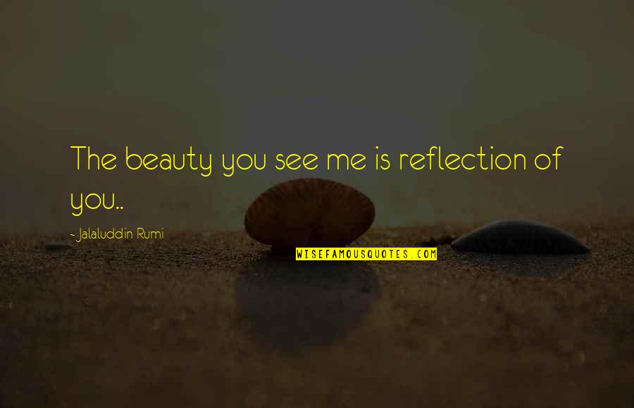 Elementary School Marquee Quotes By Jalaluddin Rumi: The beauty you see me is reflection of