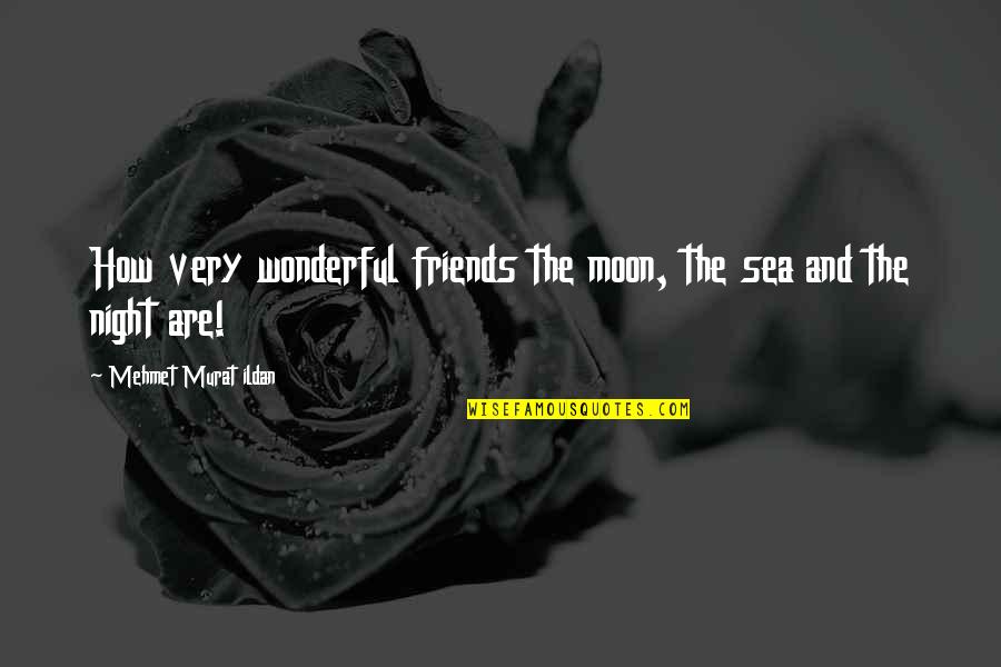 Elementary Season 2 Episode 7 Quotes By Mehmet Murat Ildan: How very wonderful friends the moon, the sea