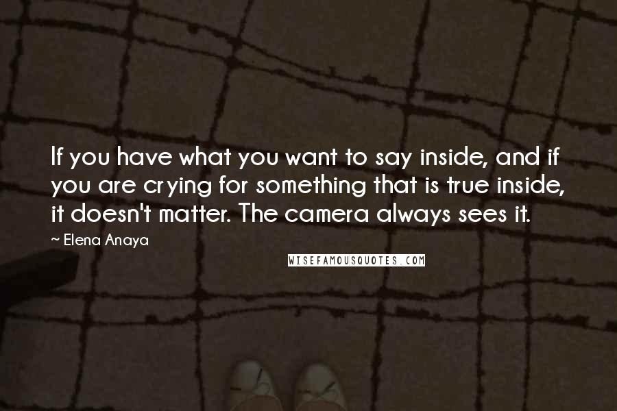 Elena Anaya quotes: If you have what you want to say inside, and if you are crying for something that is true inside, it doesn't matter. The camera always sees it. Elena Anaya quotes: If you have what you want to say inside, and if you are crying for something that is true inside, it doesn't matter. The camera always sees it.