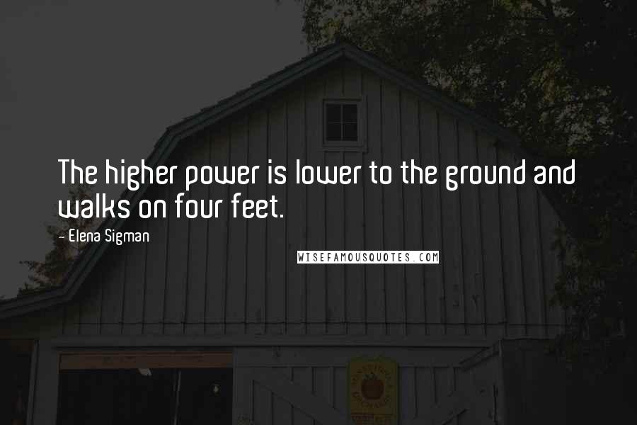 Elena Sigman quotes: The higher power is lower to the ground and walks on four feet.