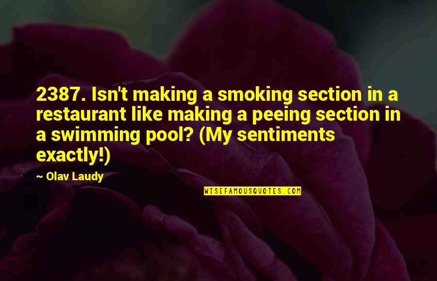 Eleonore Hendricks Quotes By Olav Laudy: 2387. Isn't making a smoking section in a