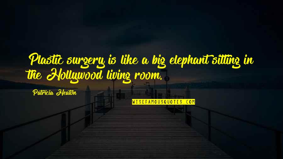 Elephant In Room Quotes By Patricia Heaton: Plastic surgery is like a big elephant sitting