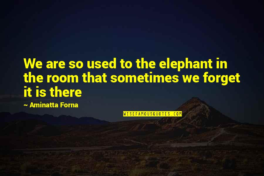 Elephant In The Room Quotes By Aminatta Forna: We are so used to the elephant in