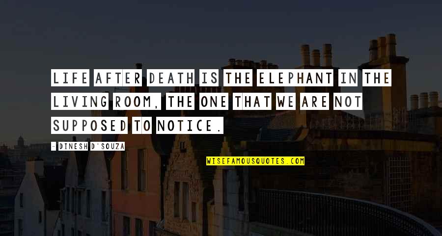 Elephant In The Room Quotes By Dinesh D'Souza: Life after death is the elephant in the
