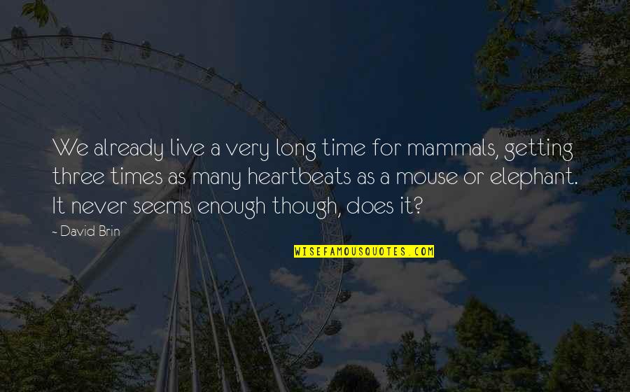 Elephant Quotes By David Brin: We already live a very long time for