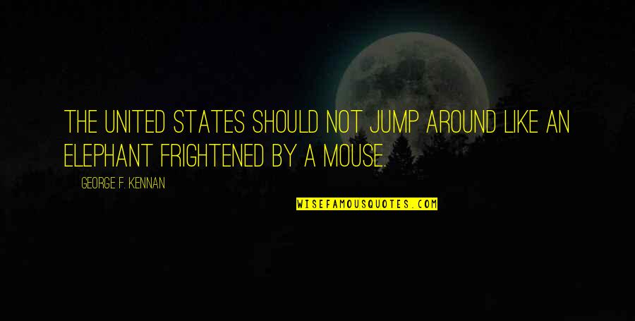 Elephant Quotes By George F. Kennan: The United States should not jump around like