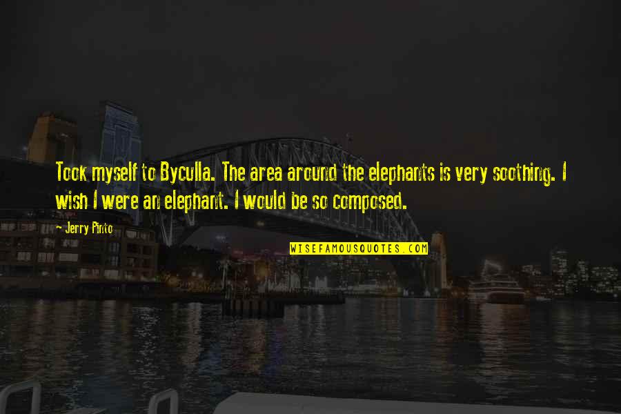 Elephant Quotes By Jerry Pinto: Took myself to Byculla. The area around the