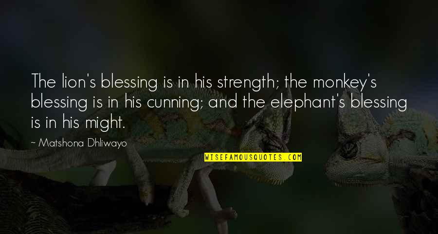 Elephant Quotes By Matshona Dhliwayo: The lion's blessing is in his strength; the