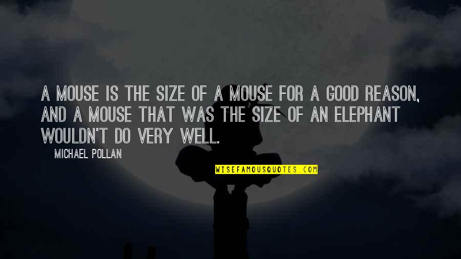 Elephant Quotes By Michael Pollan: A mouse is the size of a mouse